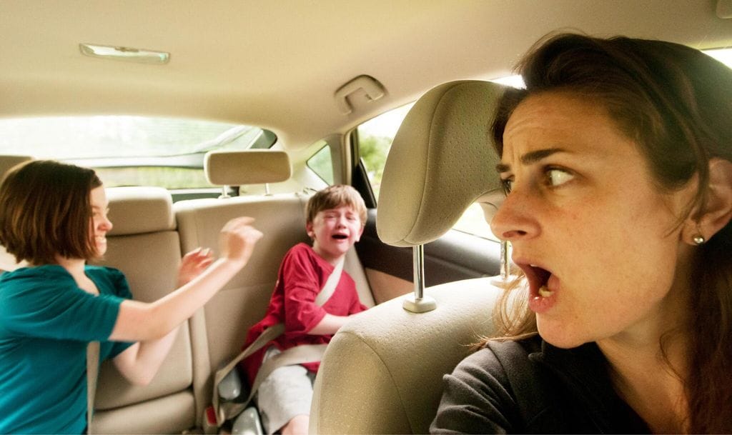 Hermanos se pelean en el coche