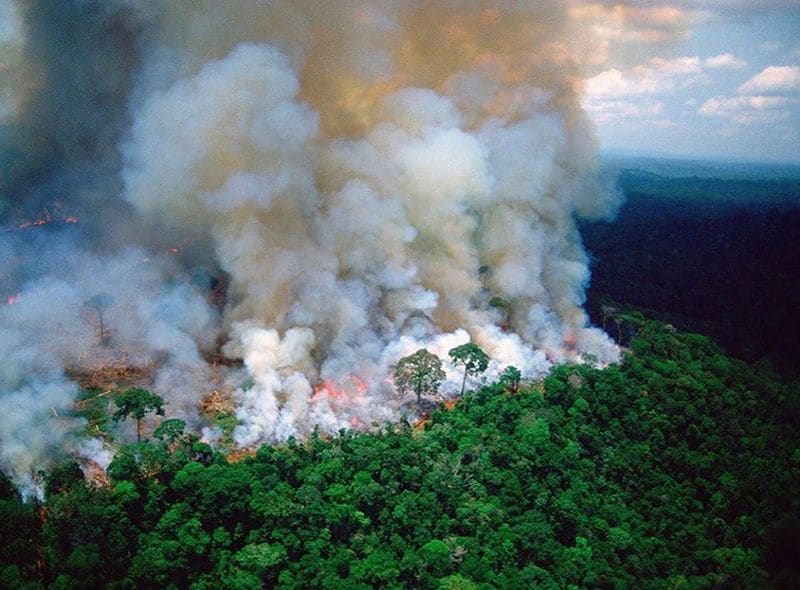 amazonas