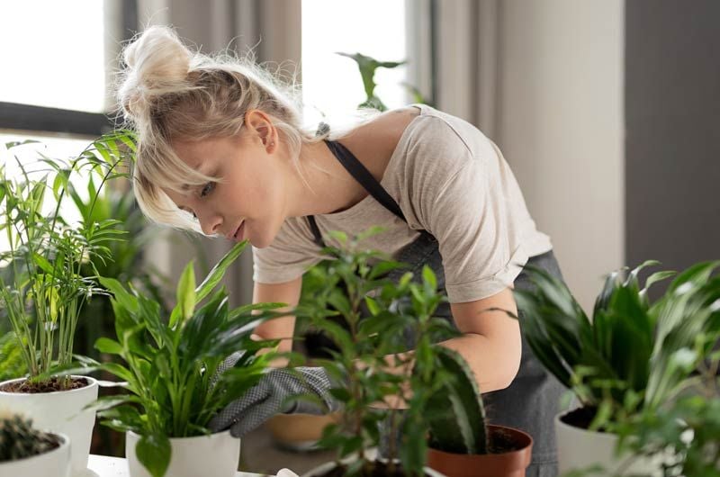 ejercicio jardineria chica 