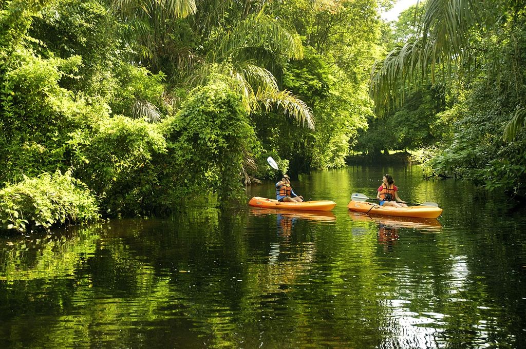 a_costa_rica_tortuguero_verd