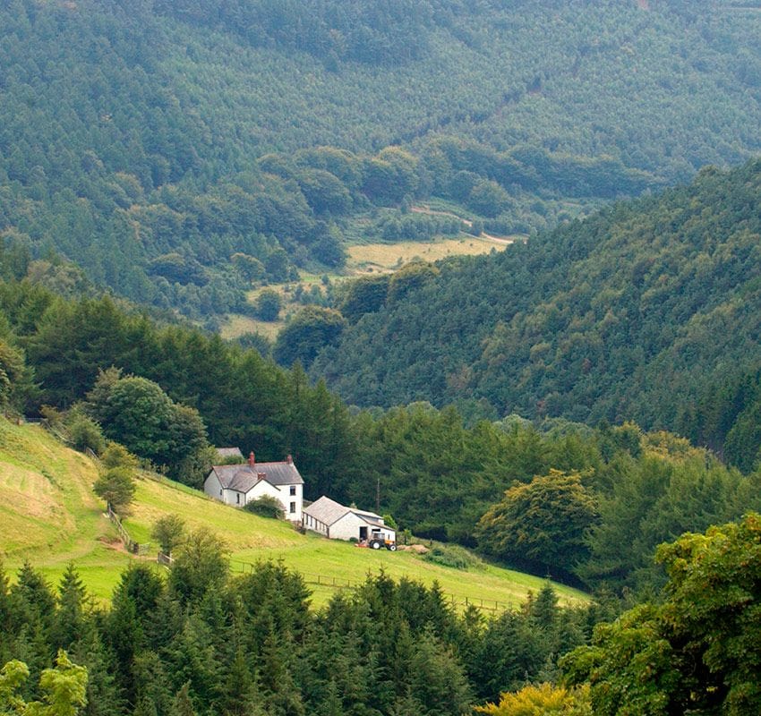 bosque de cwmcarn akmxec