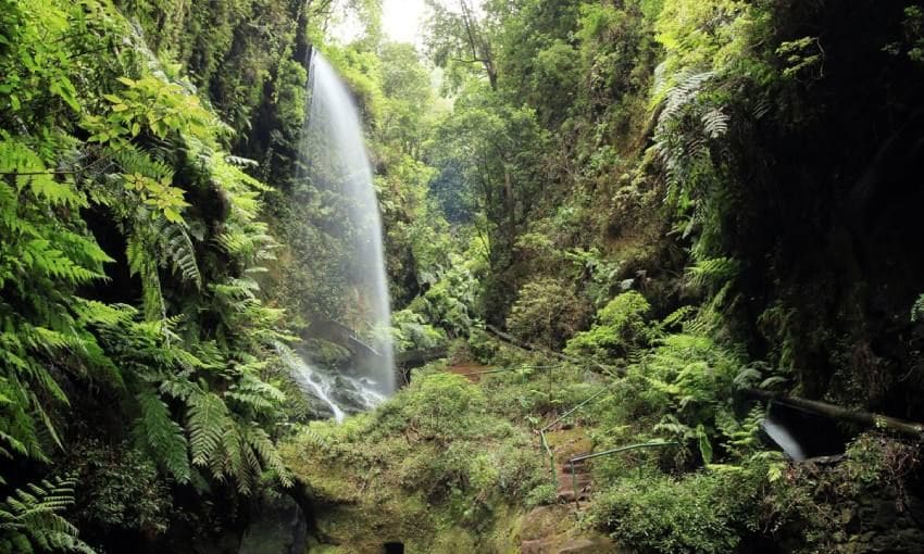 cascada de los tilos la palma