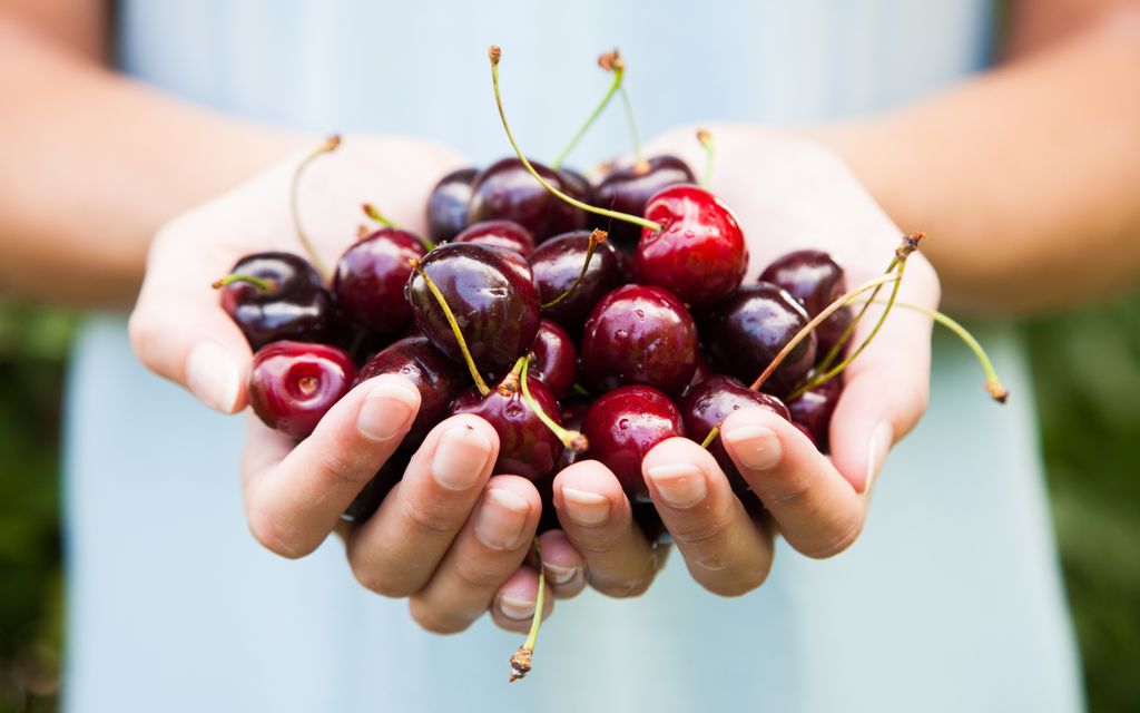 manos de mujer con cerezas