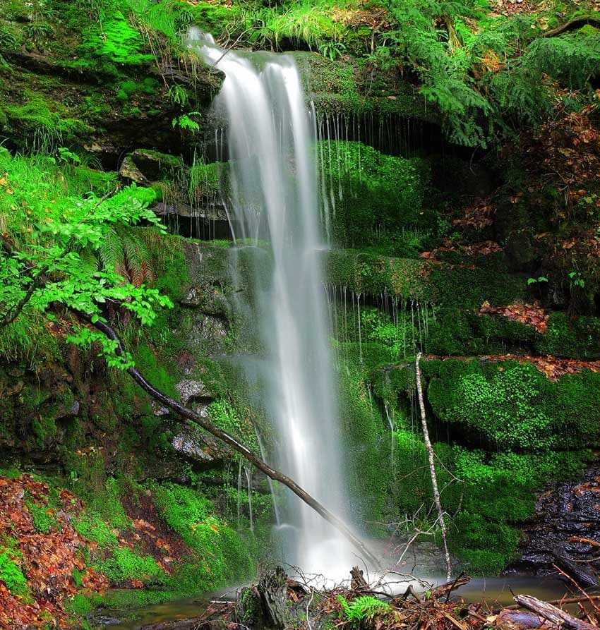 cascadas-puente-ra-Cebollera