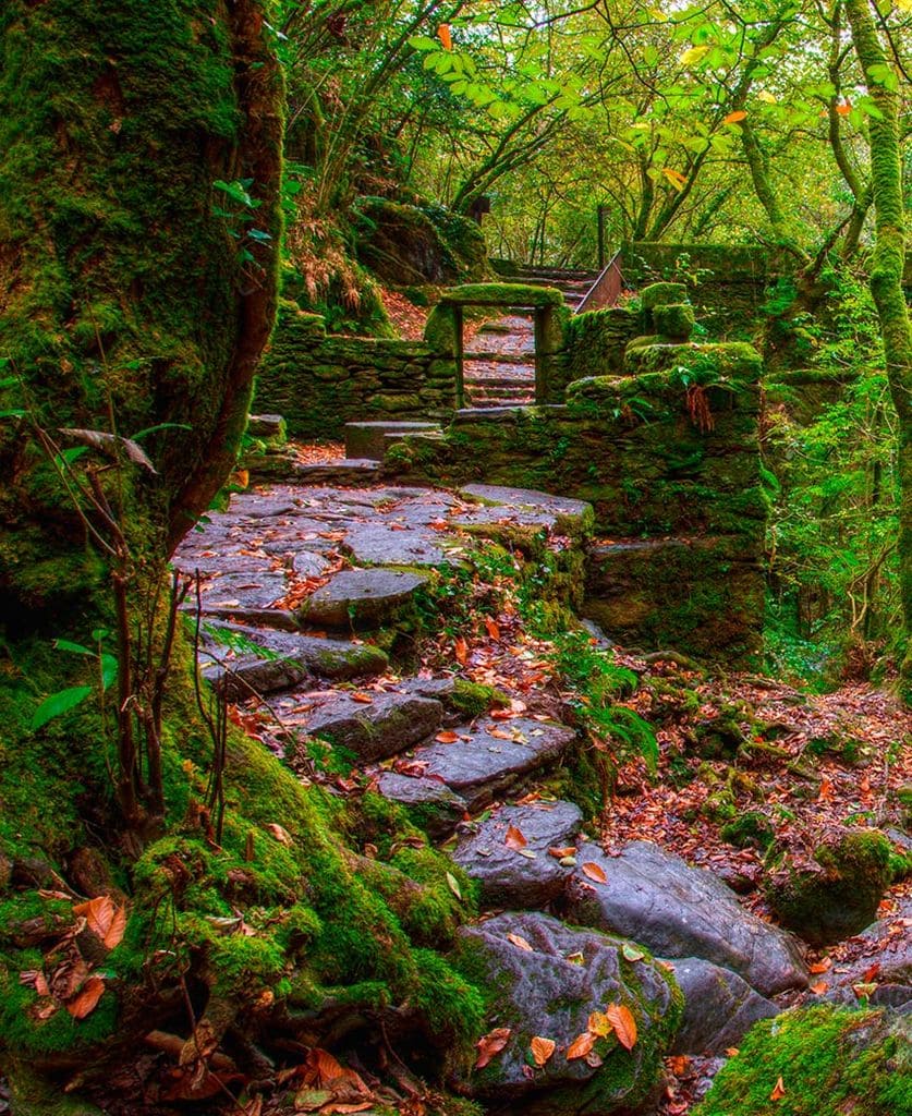 Imagen de Fragas do Eume, A Coruña