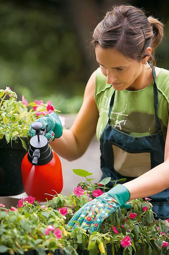 insecticidas jardin 1