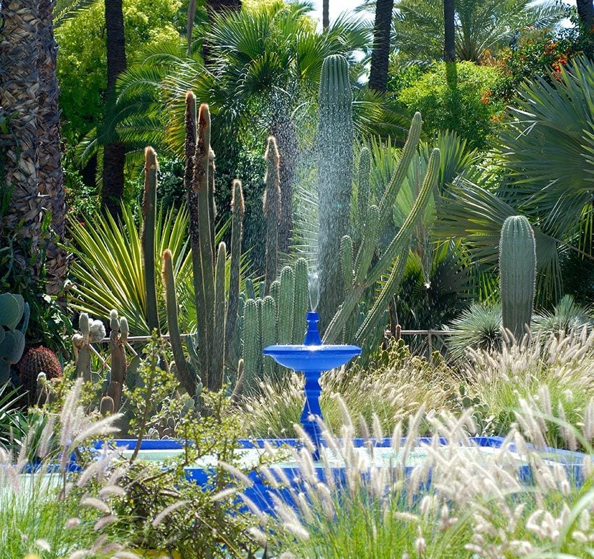  Jardín Majorelle en Marrakech
