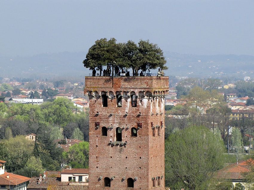 Lucca-italia-Torre-guinigi