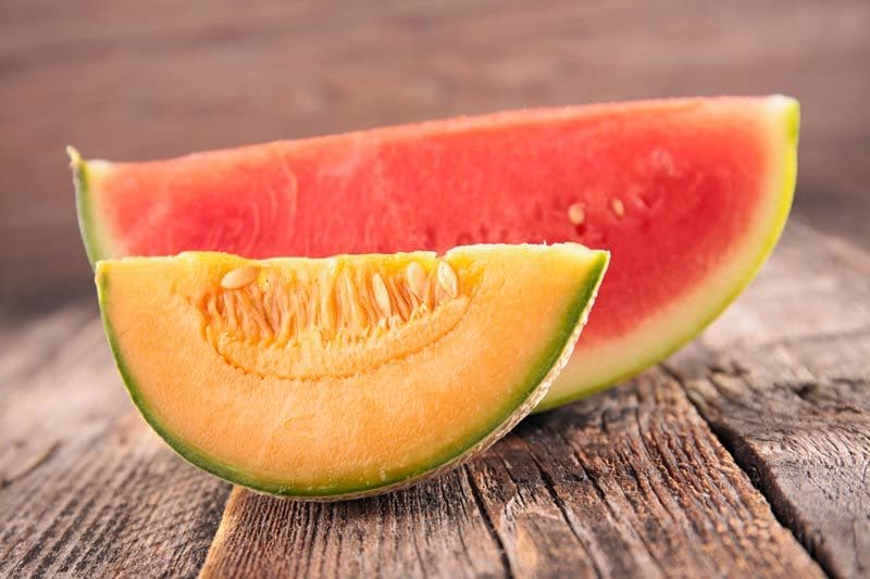 sandia melon