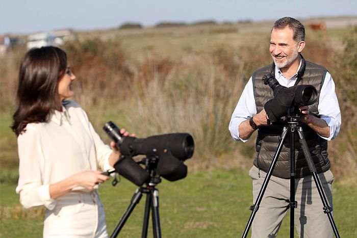 Los Reyes Parque Nacional de Doñana