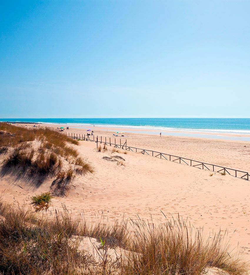 playa palmar cadiz