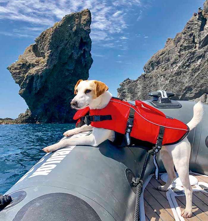 Pipper en una zodiak en el Cabo de Gata