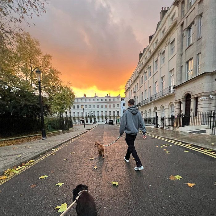 romeo beckham paseando los perros