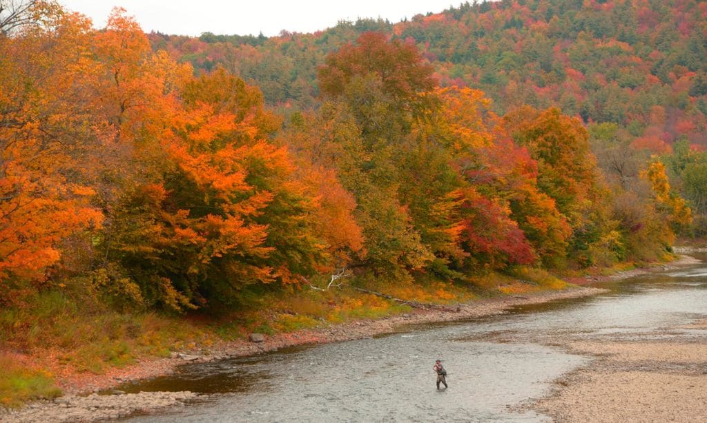 Man casts his fly line on Winooski River in Waterbury, Vermont during fall foliage.