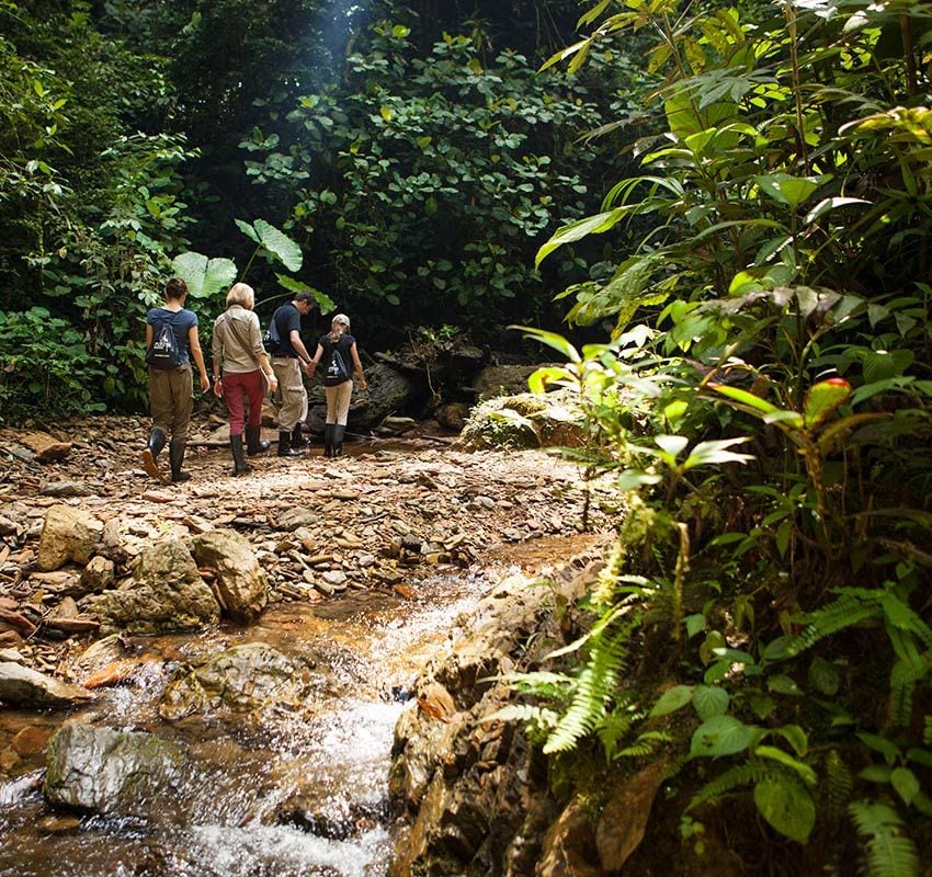 Caminata en Mashpi Lodge, Ecuador