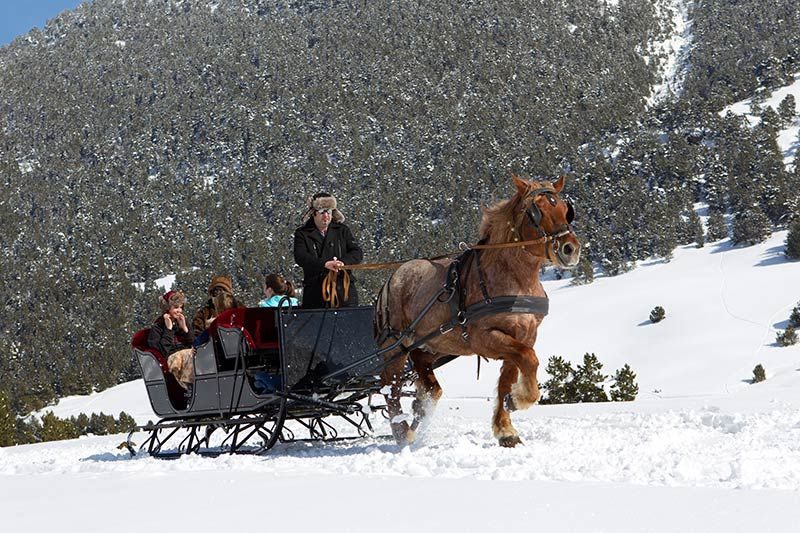 caballos-nieve