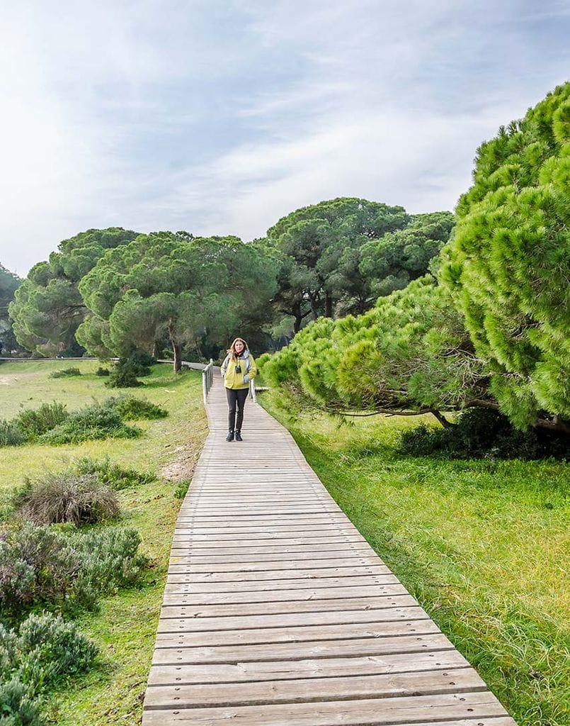 Huelva Donana_parque nacional