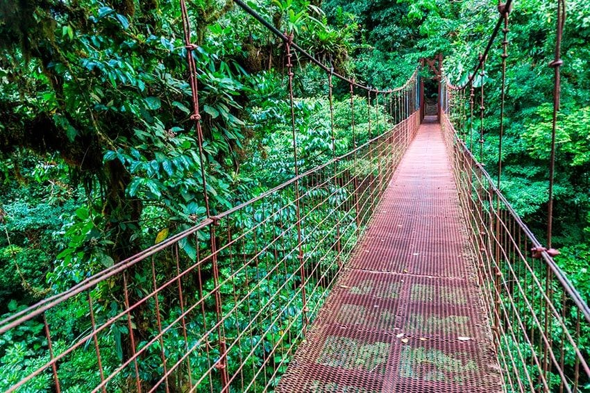 Costa Rica, Reserva Biológica del Bosque Nuboso de Monteverde