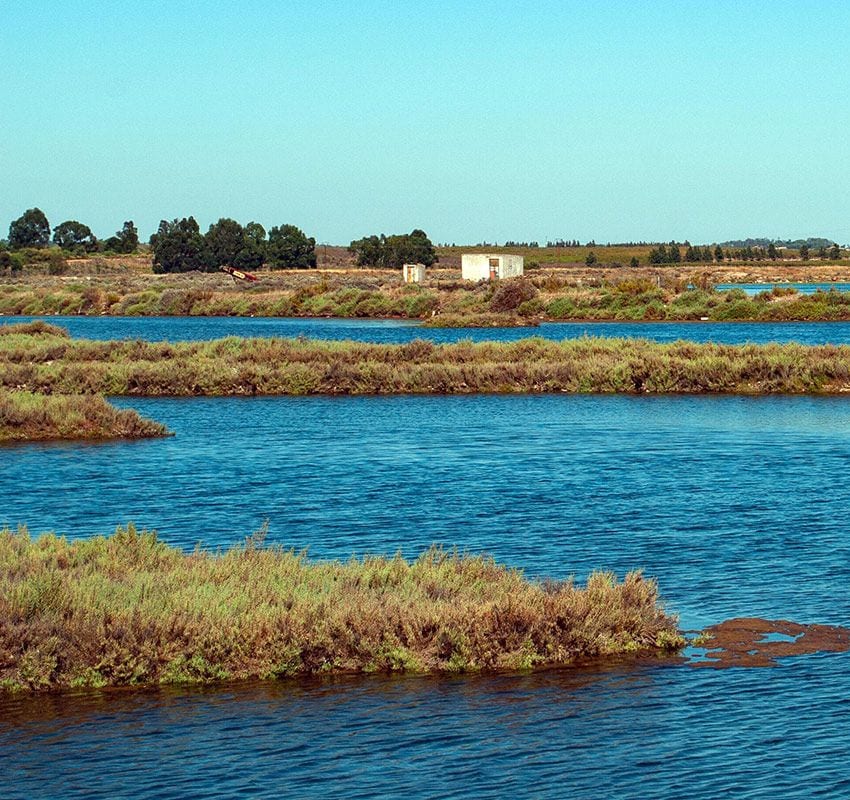 Marismas de Isla Cristina, Huelva