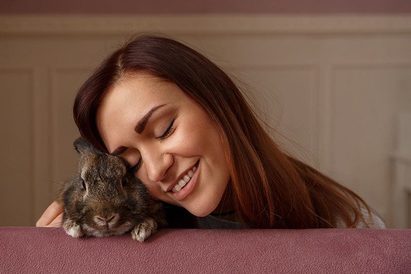 05 consejos mejorar salud comportamiento conejos