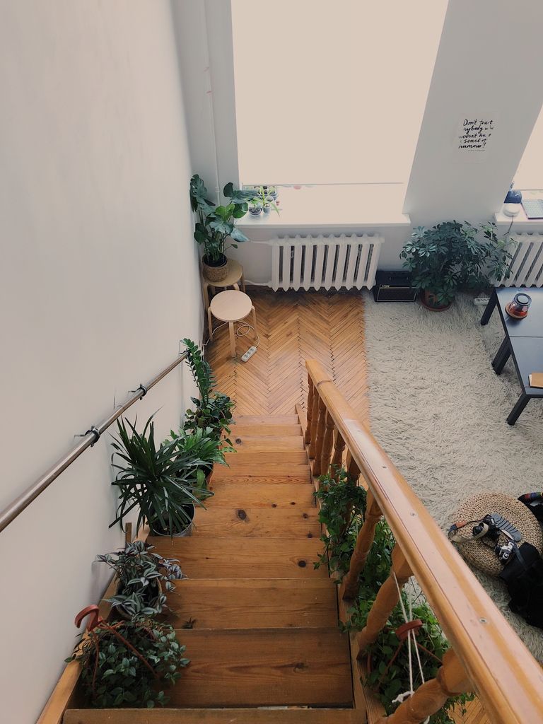 Escalera decorada con plantas