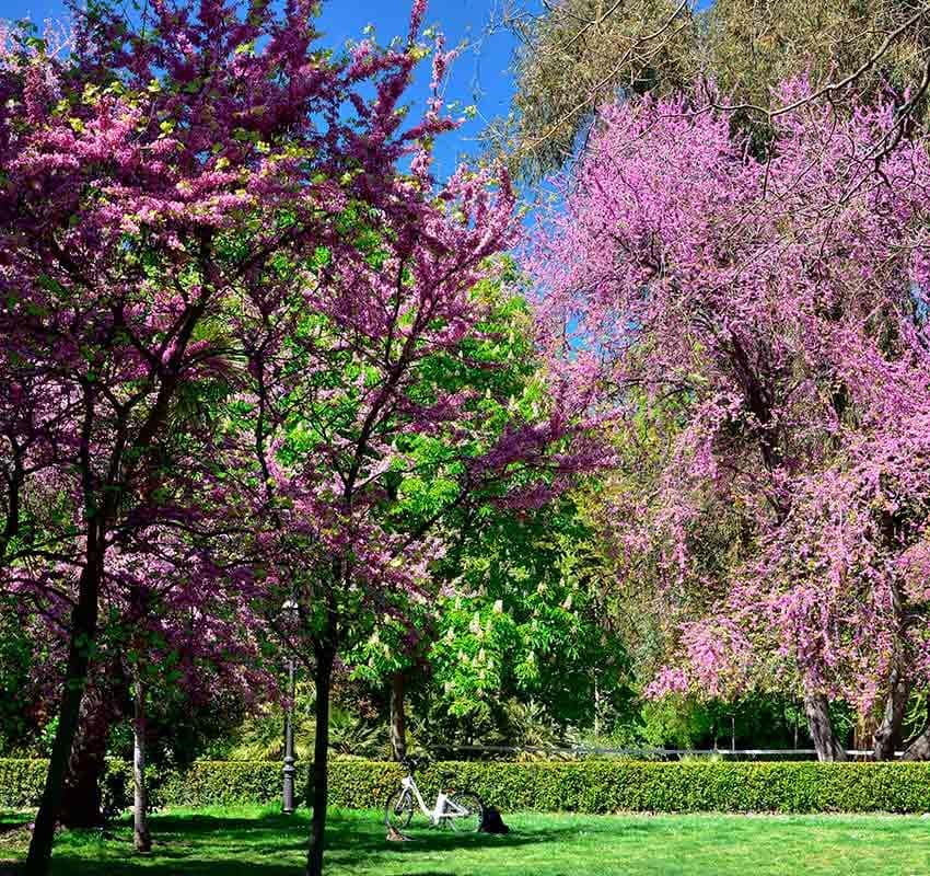 Madrid, parque del Retiro