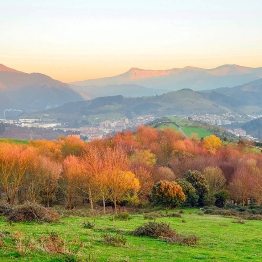 Otoño en el entorno de la localidad de Llodio.