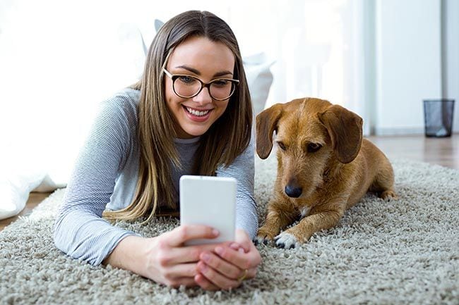 Cómo saber si eres un buen dueño para tu perro