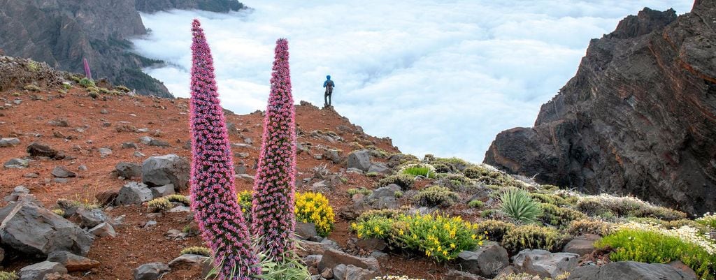 La Palma VIAJES2124