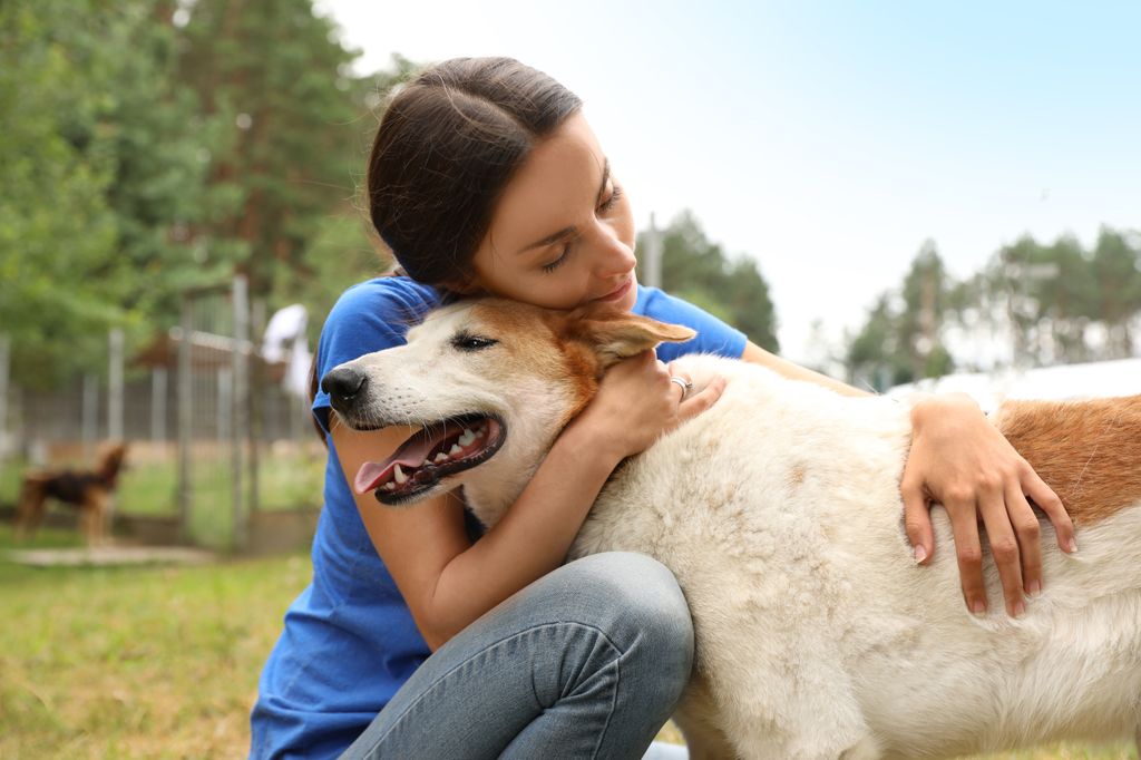 mujer abraza a un perro en la calle