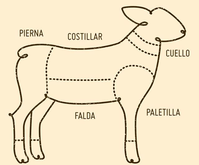 cordero-partes