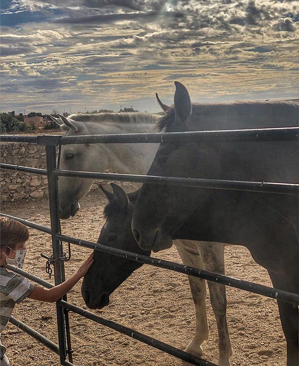 Los hijos de Sara Carbonero con caballos