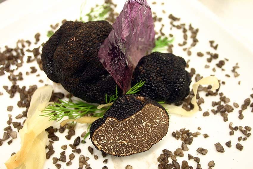 gastronomia-trufas-trufiturismo-teruel