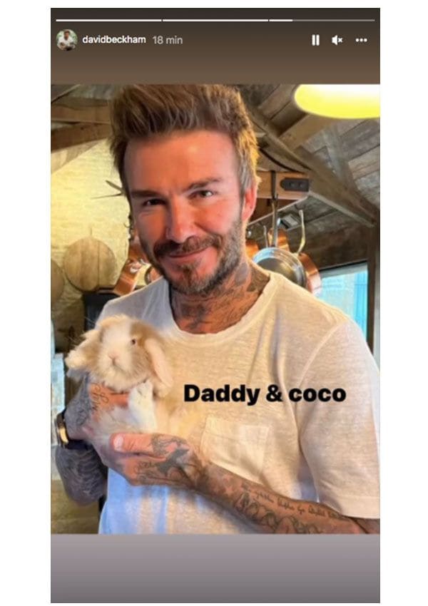 David-y-Coco