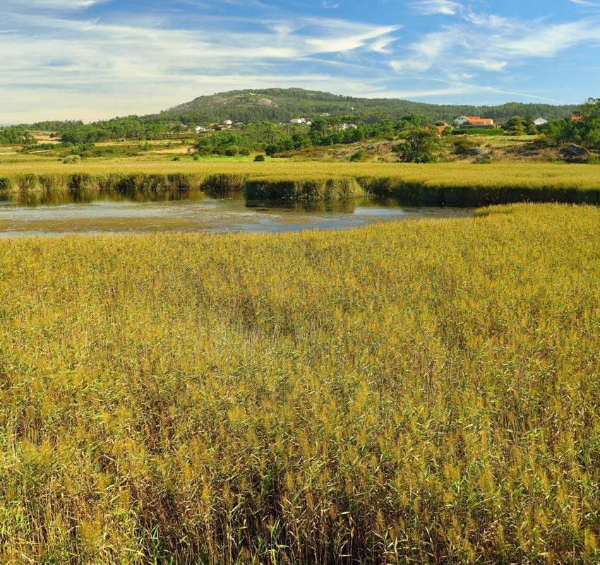 Laguna de Vixán, Parque Natural de Corrubedo, A Coruña, Galicia