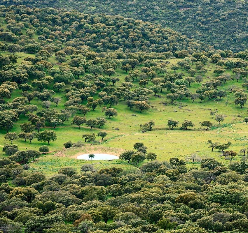 Paisaje de Las Villuercas, la zona más verde de Cáceres