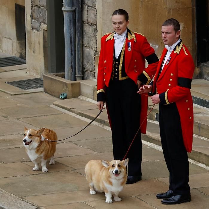 Sandy y Muick, los corgis de la reina Isabel II