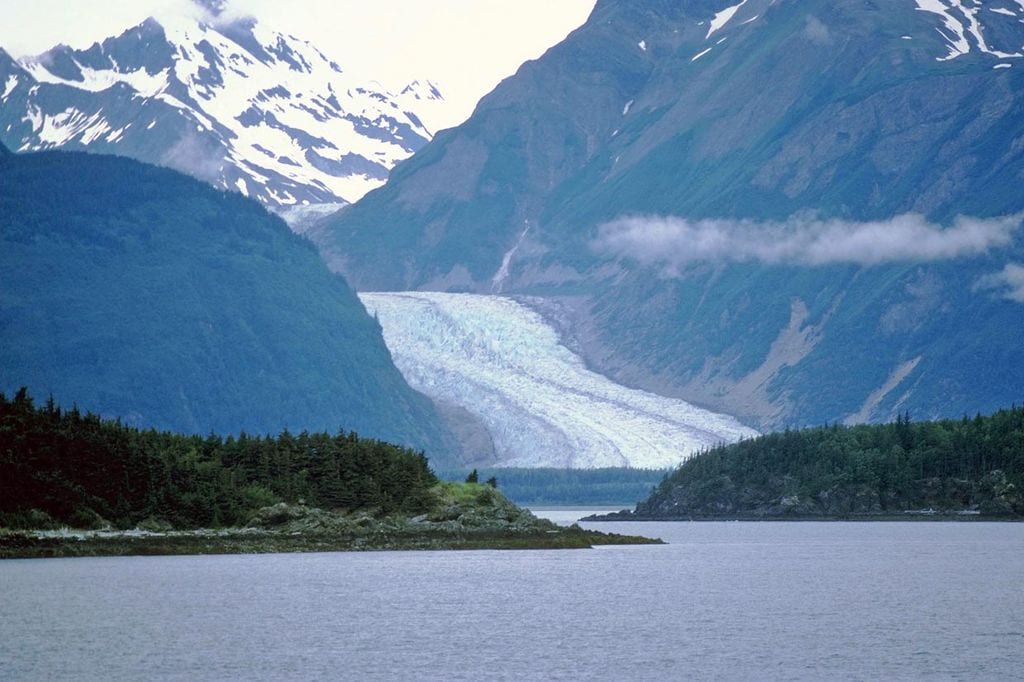 a_Glacier_Bay_Alask