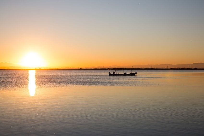 valencia Albufera