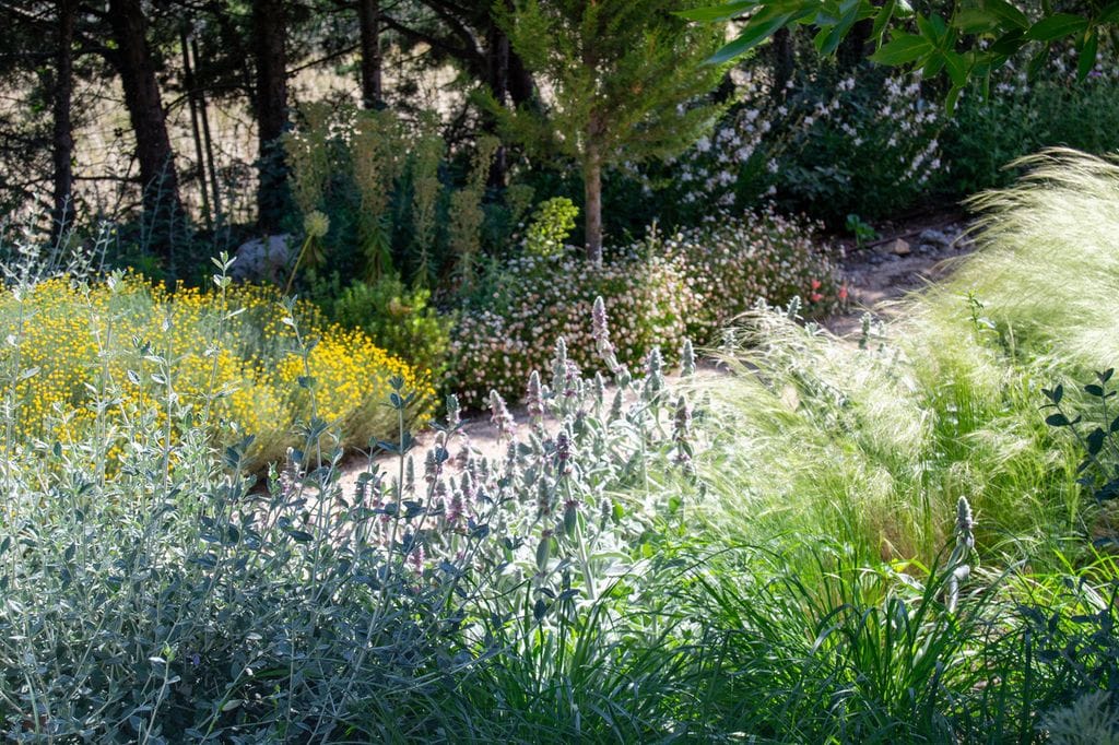 Jardín naturalizado con flores y gramíneas, diseño del paisajsta Fernando Nájera