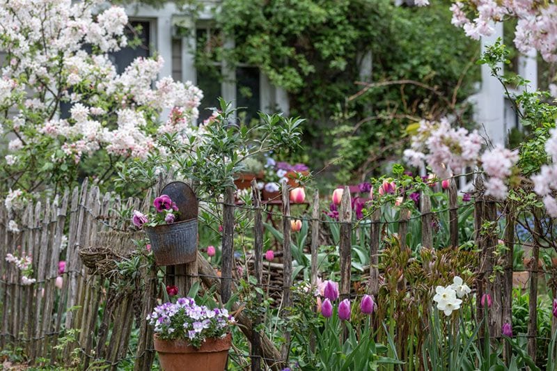 jardin rustico 4