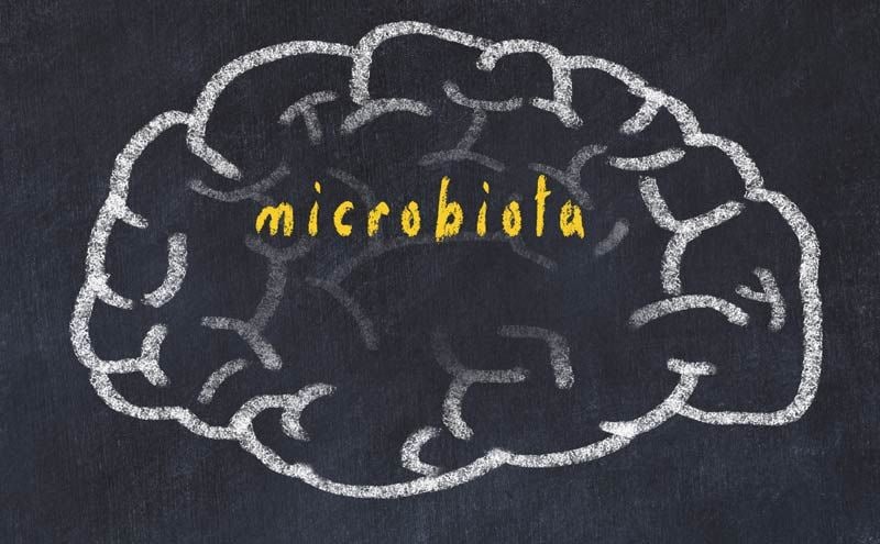 microbiota