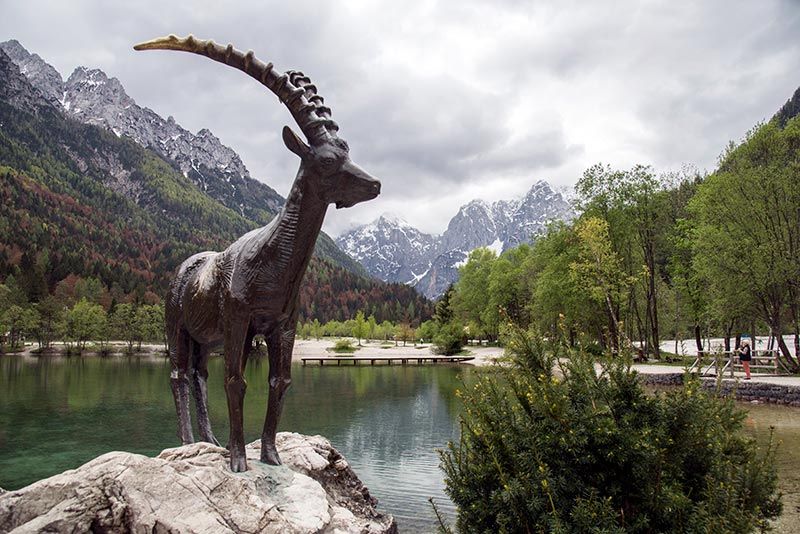 Eslovenia Triglav_LAGO JASNA ESTATUA AL REBECO MITOL