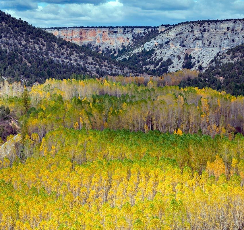 canon rio lobos otono