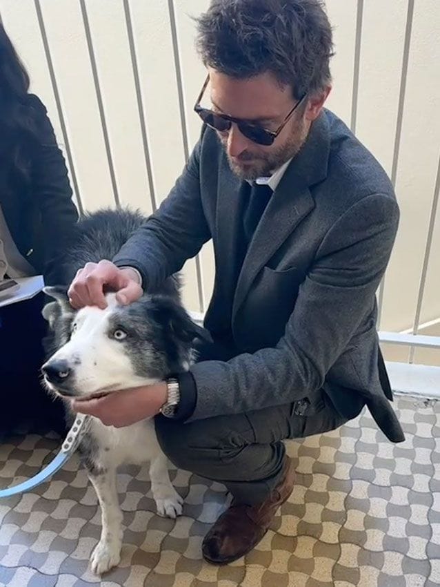 Bradley Cooper conoce al perro de 'Anatomía de una caída'