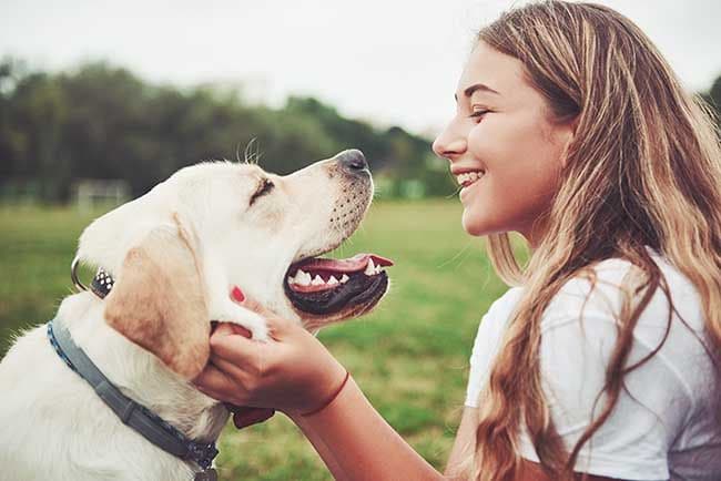 Tu perro agradece tu cariño ¿pero cómo transmitirlo? 