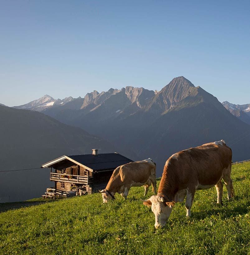 Tirol austria