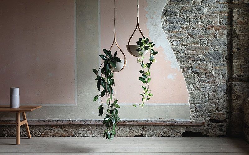 ideas decorar plantas 7