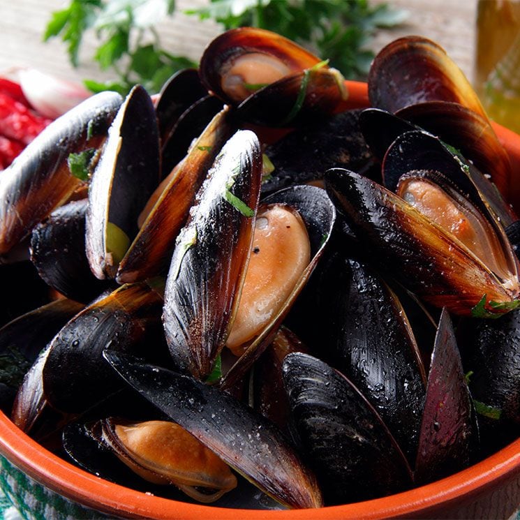 mejillones adobe