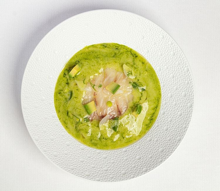 Gazpacho verde de aguacate con lubina